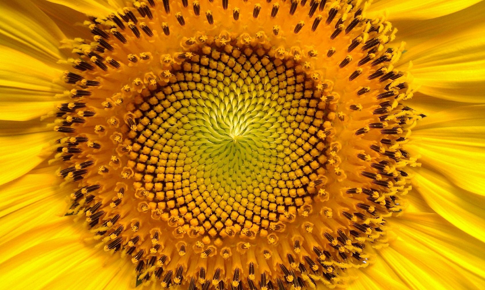 2573